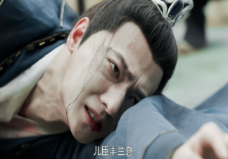 《且试天下》丰兰息武功为什么被废 丰兰息看清雍王了吗