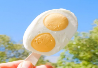 为什么现在的雪糕越来越不平民化 怎么选择营养健康的雪糕