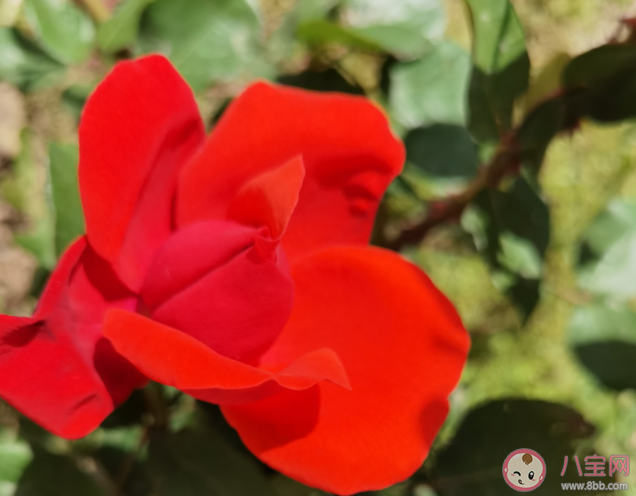 有哪些趁青春正好一定要做的事 青春的时候应该做哪些事情