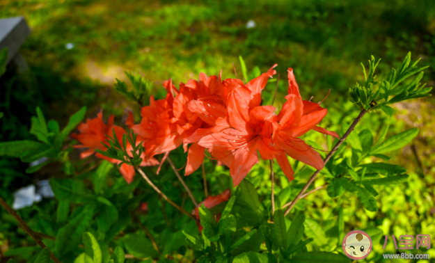 有哪些趁青春正好一定要做的事 青春的时候应该做哪些事情