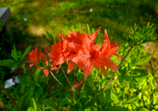 有哪些趁青春正好一定要做的事 青春的时候应该做哪些事情