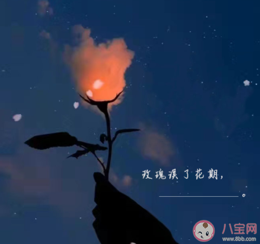 玫瑰误了花期下一句文案合集 玫瑰误了花期浪漫伤感文案