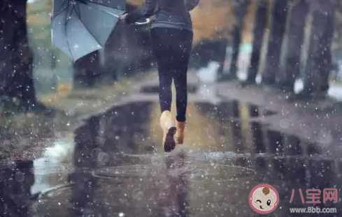为什么觉得下雨天特别治愈 喜欢下雨天的原因是什么 为什么觉得下雨天特别治愈 喜欢下雨天的原因是什么
