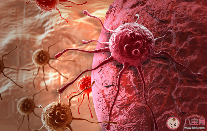 癌症晚期和分娩哪一个更痛 癌痛到底有多痛 癌症晚期和分娩哪一个更痛 癌痛到底有多痛