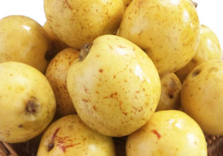 多依果就是苹果对吗 蚂蚁新村5月11日答案