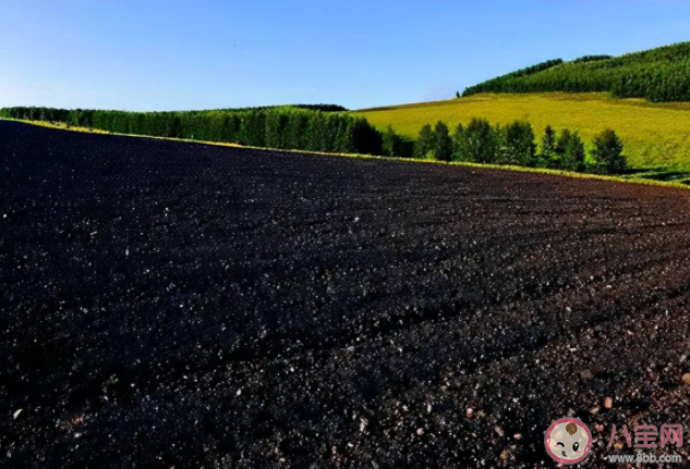 黑土是因为土壤中含有充分的腐殖质所以黑吗 蚂蚁新村5月12日正确答案 黑土是因为土壤中含有充分的腐殖质所以黑吗 蚂蚁新村5月12日正确答案