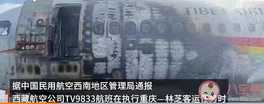 飞机起火会造成什么危害 飞机起火如何自救逃生