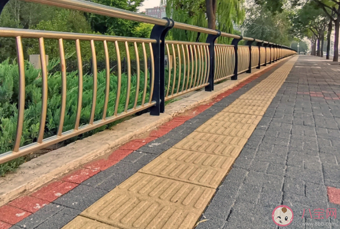 我国的盲道表面通常是什么形状的凸起 蚂蚁庄园5月14日答案介绍 我国的盲道表面通常是什么形状的凸起 蚂蚁庄园5月14日答案介绍