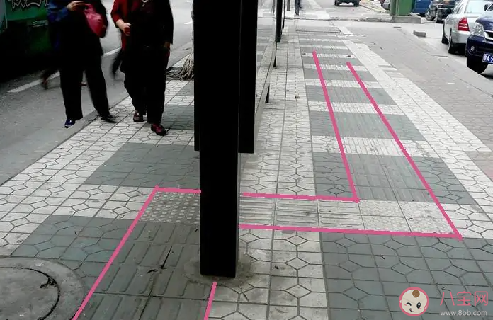 我国的盲道表面通常是什么形状的凸起 蚂蚁庄园5月14日答案介绍 我国的盲道表面通常是什么形状的凸起 蚂蚁庄园5月14日答案介绍