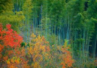 首批天气气候景观观赏地名单 有哪些景观上榜了