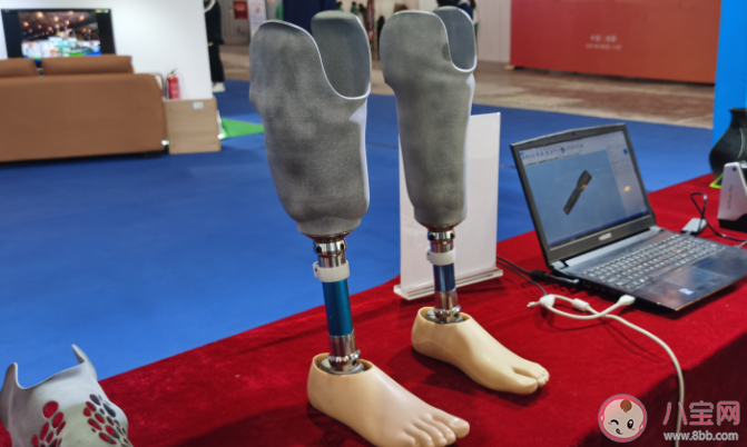 残奥会上刀锋战士跑步时穿的是什么 蚂蚁庄园5月15日正确答案