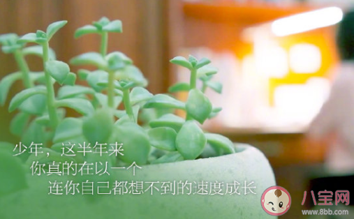 哪句话支撑你拼过整个高三 给高三学子加油的一句话 哪句话支撑你拼过整个高三 给高三学子加油的一句话