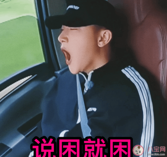 《新游记》第五期观后感 《新游记》第五期好看吗