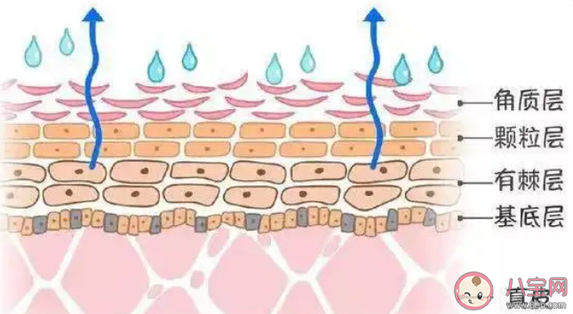 如何判断肌肤屏障是否受损 皮肤屏障受损该怎么办