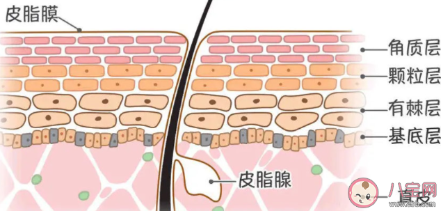 如何判断肌肤屏障是否受损 皮肤屏障受损该怎么办