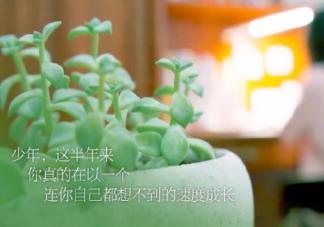 哪句话支撑你拼过整个高三 给高三学子加油的一句话