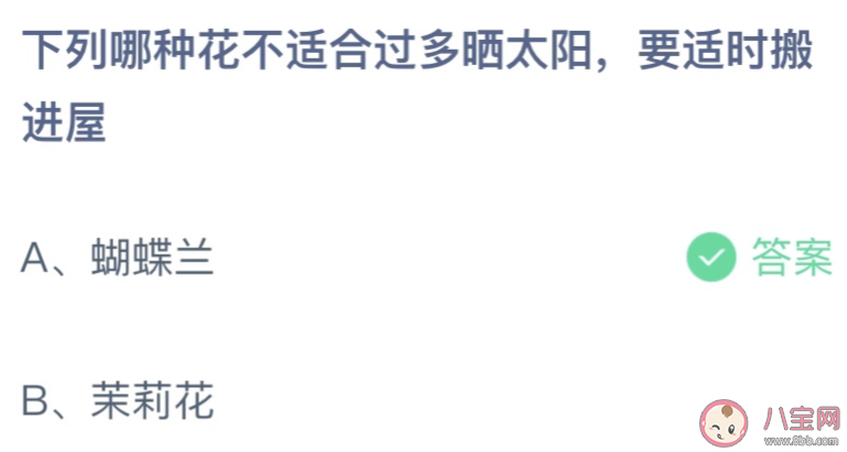 下列哪种花不适合过多晒太阳要适时搬进屋 蚂蚁庄园5月18日答案介绍