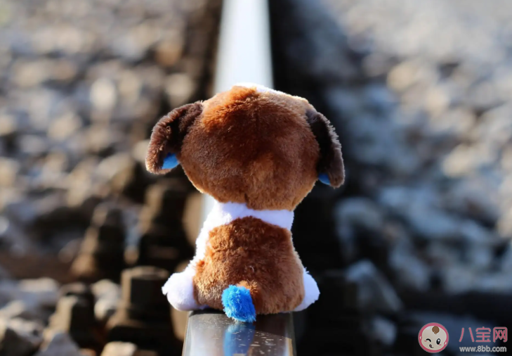 可以等到自己喜欢的人吗 爱情中要一直等待吗