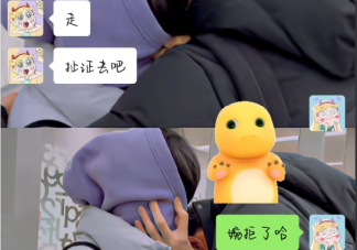 婉拒了哈为什么会走红 还有哪些委婉的拒绝方式