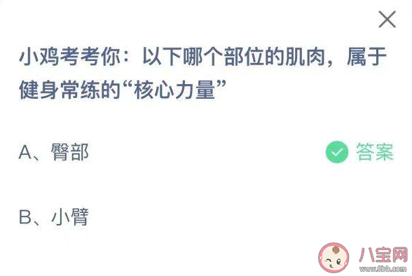 哪个部位的肌肉属于健身常练的核心力量 蚂蚁庄园5月19日正确答案