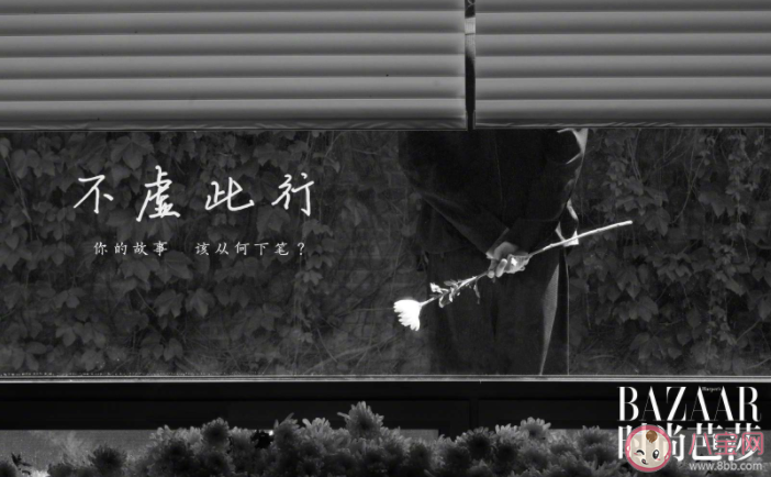 《不虚此行》官宣新阵容 《不虚此行》讲述了什么故事