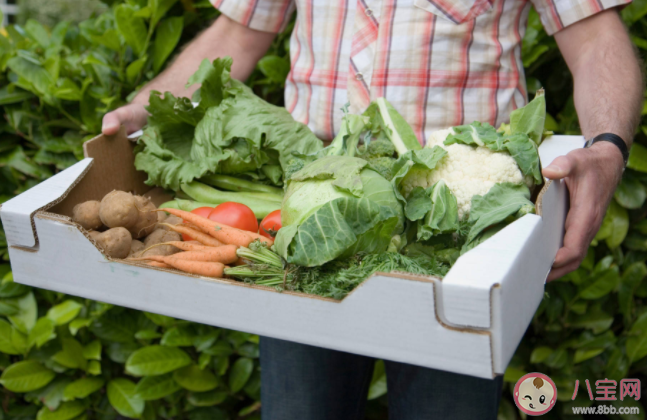 高价有机蔬菜值不值 有机蔬菜更安全有营养吗