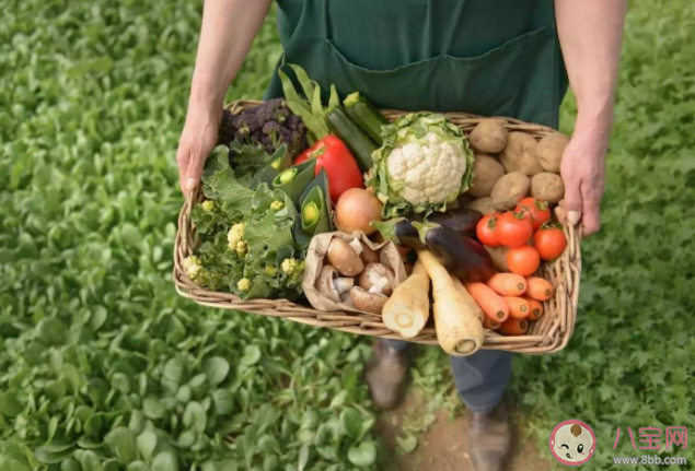 高价有机蔬菜值不值 有机蔬菜更安全有营养吗