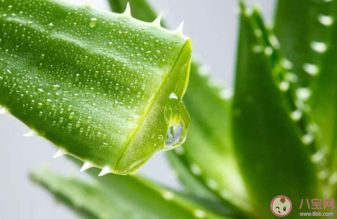 有哪些亲测无效的美白方法 无效的美白方法介绍 有哪些亲测无效的美白方法 无效的美白方法介绍