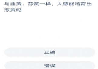 大葱能培育出葱黄吗 蚂蚁新村5月19日答案