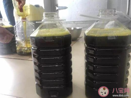 考一考菜籽油怎么存放比较好 蚂蚁庄园5月21日答案最新