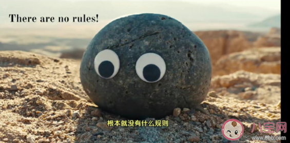 《瞬息全宇宙》的石头为什么感人 两块石头无声对话有什么寓意