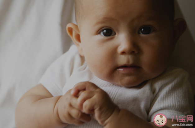 育儿没有标准答案 有哪些育儿小建议