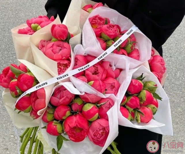 为什么越来越多人在意520 重视520的原因是什么 为什么越来越多人在意520 重视520的原因是什么