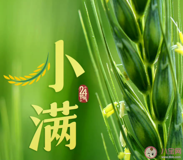 2022小满节气早安心语图片正能量说说 2022小满节气问候语心情句子