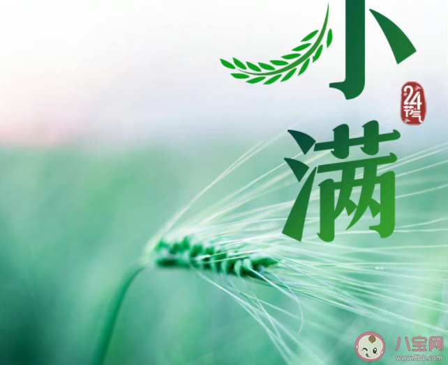 2022小满节气早安心语图片正能量说说 2022小满节气问候语心情句子