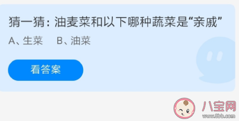 油麦菜和生菜油菜哪一种蔬菜是亲戚 蚂蚁庄园5月24日正确答案