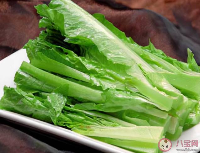 油麦菜和生菜油菜哪一种蔬菜是亲戚 蚂蚁庄园5月24日正确答案