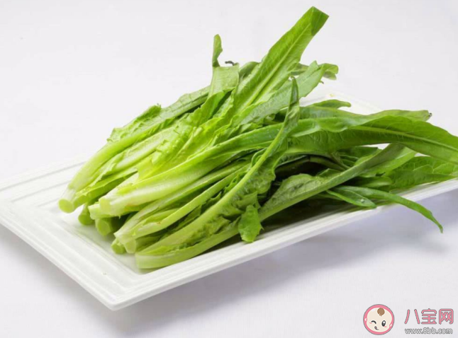 油麦菜和生菜油菜哪一种蔬菜是亲戚 蚂蚁庄园5月24日正确答案