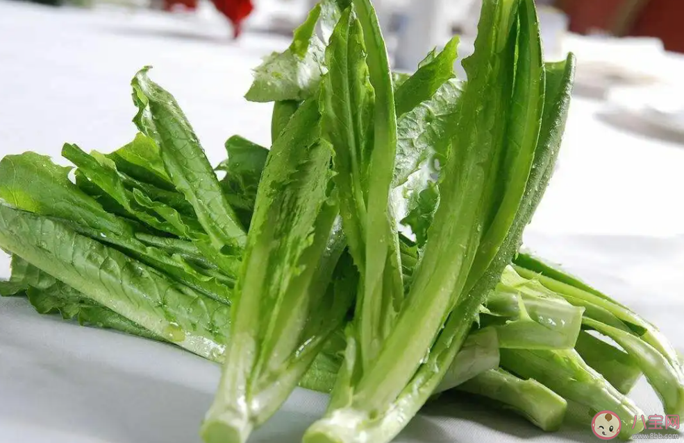 猜一猜油麦菜和以下哪种蔬菜是亲戚 蚂蚁庄园5月24日答案最新