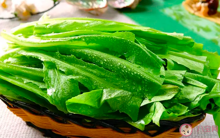 猜一猜油麦菜和以下哪种蔬菜是亲戚 蚂蚁庄园5月24日答案最新