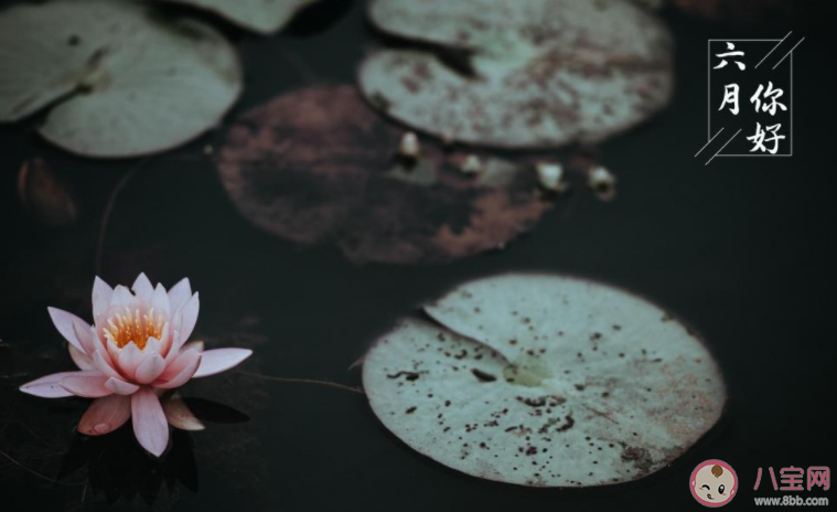 2022六月第一天好心情的文案说说 2022迎接六月的朋友圈句子大全