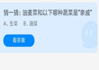 油麦菜和生菜油菜哪一种蔬菜是亲戚 蚂蚁庄园5月24日正确答案