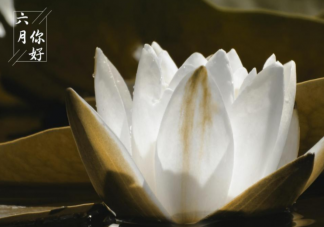 2022六月第一天好心情的文案说说 2022迎接六月的朋友圈句子大全