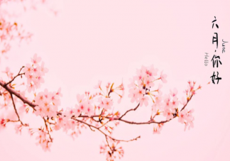 2022适合六月发的温柔文案治愈句子 2022六月温暖治愈的文案说说合集