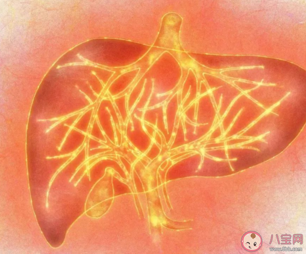 体检查出脂肪肝还能继续吃肉吗 蚂蚁庄园5月25日答案