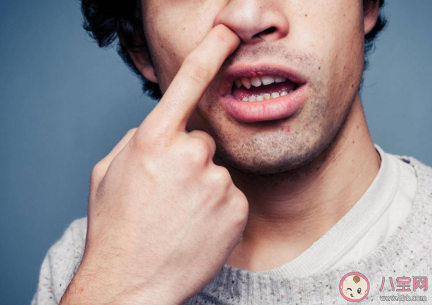 挖鼻孔会带来3个不良后果 经常挖鼻孔会怎样