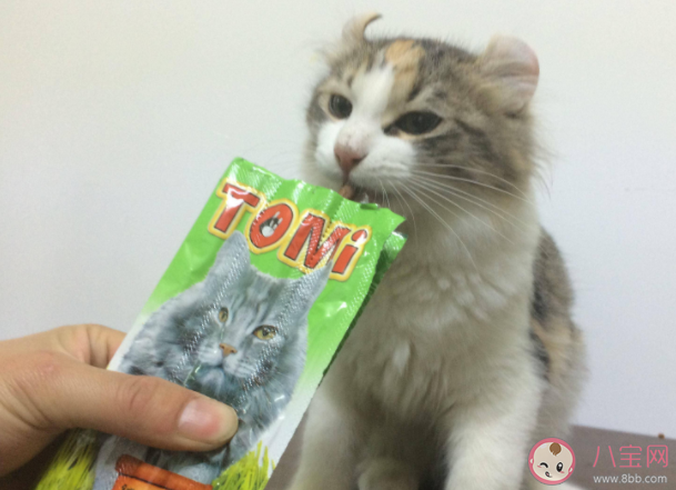 喵咪挑食是什么原因 喵咪挑食怎么办 喵咪挑食是什么原因 喵咪挑食怎么办