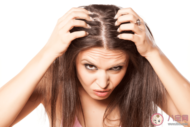 头皮上的痂是什么 为何头皮上总是长疙瘩和脓包 头皮上的痂是什么 为何头皮上总是长疙瘩和脓包