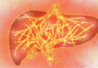 体检查出脂肪肝还能继续吃肉吗 蚂蚁庄园5月25日答案