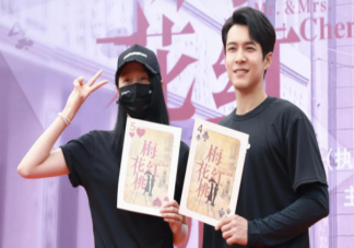 《梅花红桃》主演是谁 《梅花红桃》讲述了什么故事